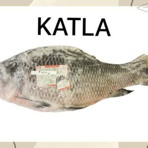 Fish Katla (কাতলা) Deshi Bazar