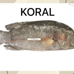 Koral (কোরাল) Fish Deshi Bazar