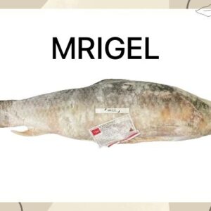 Mrigel (মৃগেল) Fish Deshi Bazar